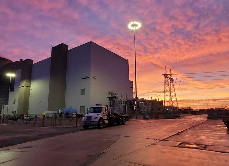 a plant under an early evening sky